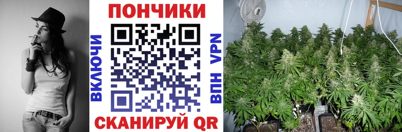 Купить закладки  Северо-Курильск  Бошки марихуана OG Kush 